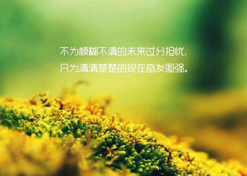 全文浏览死遁后逼疯清冷权臣：必读文（苏暮顾长钰）_死遁后逼疯清冷权臣：必读文（苏暮顾长钰）全文结局
