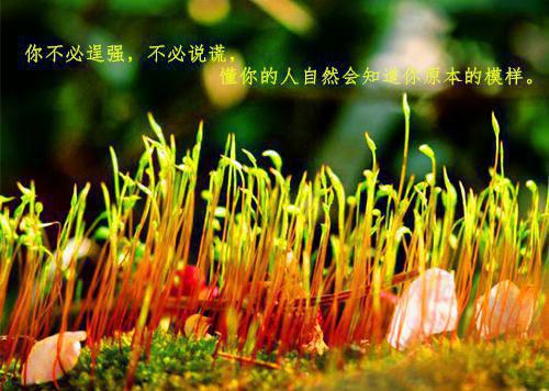 爱若有天意,兜转终可回：强推现言(宋清澜萧沉)最近更新
