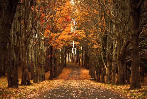 苏小姐很忙，京圈大佬夜夜守空房（苏闪闪路庭宴）全文浏览_苏小姐很忙，京圈大佬夜夜守空房全文浏览