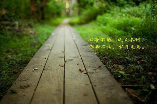 长离不见清瑟：精心打造必读爽文（谢长离江清瑟）全文免费_（谢长离江清瑟）长离不见清瑟：精心打造必读爽文后续阅读（谢长离江清瑟）