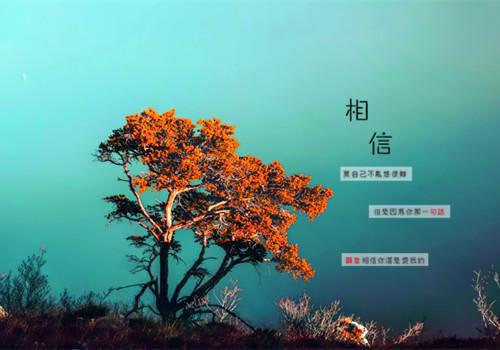 段西辰的小说再听已是曲中人/再见已无剧中人：免费在线段西辰莫雪凝莫鸣风宁心怡全文在线阅读