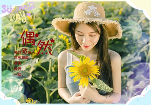 这宗门没沙雕小师妹迟早要散全文清爽版在线+无广告结局（凌于迟闻兮）