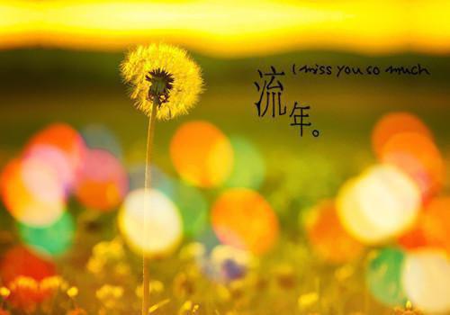 沦陷：只做总裁心尖宝灵魂人物（温幼宁肖明柏）最新推荐_最新推荐沦陷：只做总裁心尖宝灵魂人物（温幼宁肖明柏）