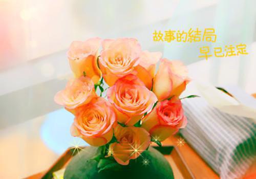 我暗恋的男神变成仓鼠了（闫佳梁宇星）最新推荐_最新推荐我暗恋的男神变成仓鼠了（闫佳梁宇星）