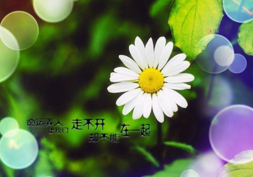 完结文真千金玄学大佬被嘲江湖骗子，这个家我不要了最新章节列表_完结文真千金玄学大佬被嘲江湖骗子，这个家我不要了全文免费阅读（何莹晚晚莹莹）