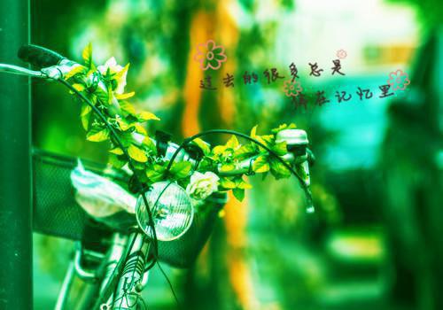 (番外)+(全文)韩竹汐秦野下载阅读_(韩竹汐秦野)韩竹汐秦野免费阅读全文最新章节列表_笔趣阁（韩竹汐秦野）