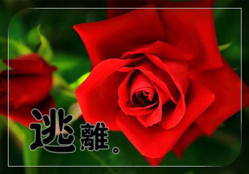(番外)+(全文)第1章房子被烧txt下载阅读_(苏念意沈知南)第1章房子被烧免费阅读全文最新章节列表_笔趣阁（苏念意沈知南）