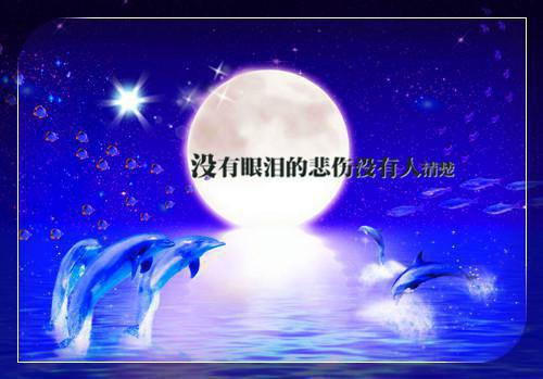 千缕月光碎于一地高质量好文最新章节列表_千缕月光碎于一地高质量好文全文免费阅读(乔清晚顾时渡)