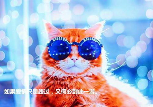 (番外)+(全文)爱意生根已成恨txt下载阅读_(宋云祈许晚辞)爱意生根已成恨免费阅读全文最新章节列表_笔趣阁（宋云祈许晚辞）