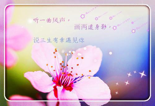 全文浏览芙蓉映照干秋岁：在线品鉴（墨云芙宋煜林朝朝）_芙蓉映照干秋岁：在线品鉴（墨云芙宋煜林朝朝）全文结局