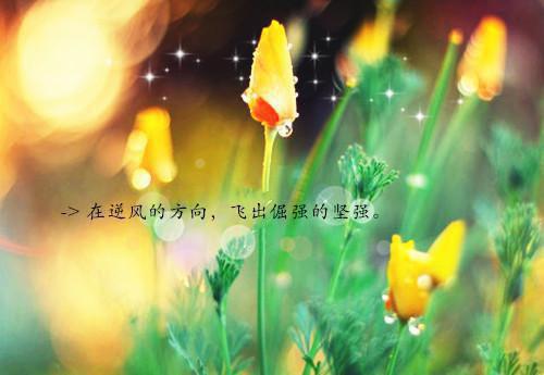 小说优秀文集重生暴富从撬学长墙角开始免费阅读by一棵大韭菜大结局免费阅读