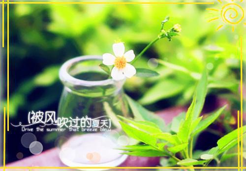 (番外)+(全文)阮星垂裴烬：结局+番外+续集全文免费阅读无弹窗大结局_阮星垂裴烬：结局+番外+续集最新章节列表_笔趣阁