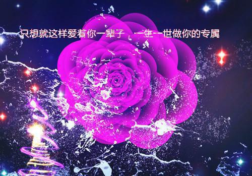 江先生你要听话：+结局+番外许清欢江砚舟推荐完本_已完结江先生你要听话：+结局+番外（许清欢江砚舟）