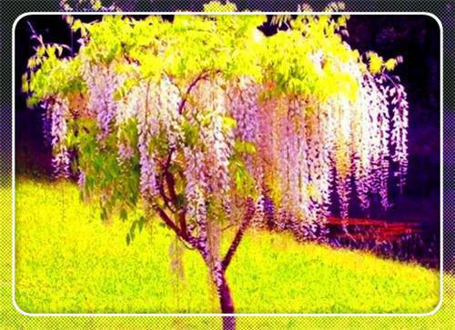 小说神霄七剑全章节免费阅读