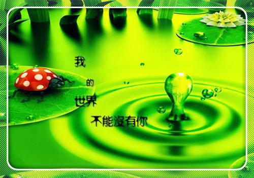 全宗邪修剑仙小师妹杀疯了全文阅读（宫清璇陆清风）最新章节_全宗邪修剑仙小师妹杀疯了全文阅读