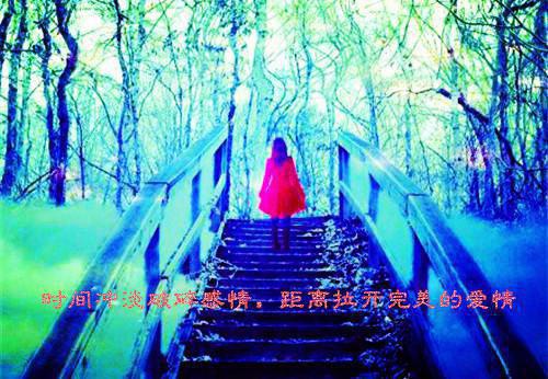 全本倦鸟不归，孤云自远倾心编著（秦珈蓝乔亦宸）最新章节列表_全本倦鸟不归，孤云自远倾心编著全文阅读
