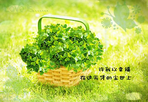 这份爱已成枯骨江荃夏宛然江延远小编最新章节_这份爱已成枯骨江荃夏宛然江延远小编全文阅读