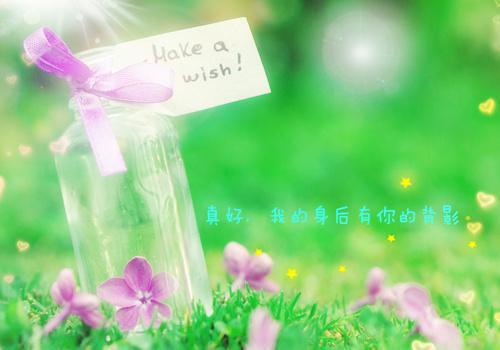 星辰不问夜归人：在线楚秋禾裴弈珩推荐完本_已完结星辰不问夜归人：在线（楚秋禾裴弈珩）