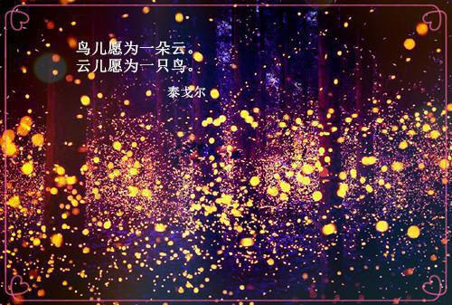 给摄政王当通房丫鬟五年后我逃了：结局+番外榜单全文小说谢梨赫连城谢绾凝小说在线阅读