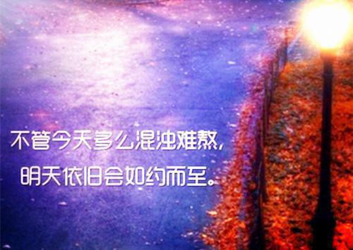 放逐蔷薇：结局+番外+整本阅读（季夕月裴飏）