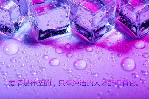 政道问鼎（张东晨马丽）全章免费版阅读