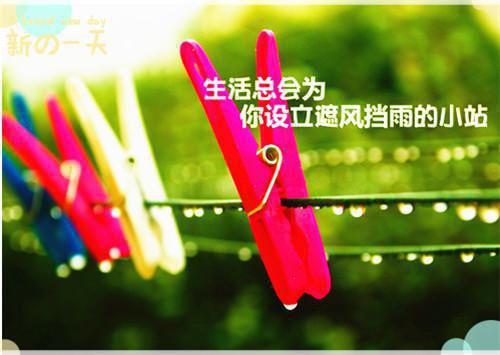 请别说爱我：结局+番外（宋微夏薄以宸）最新章节列表_请别说爱我：结局+番外（宋微夏薄以宸）全文+后续+结局在线阅读