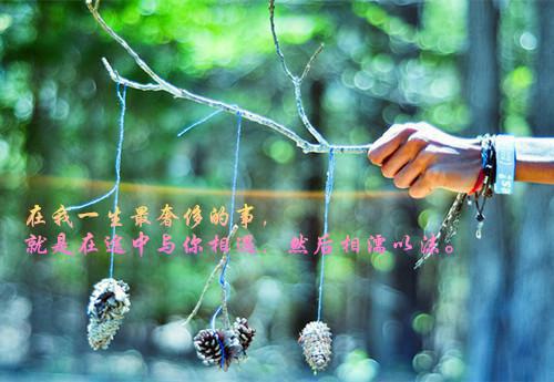 成为大坏蛋后，我成了无敌存在潜心更新全文阅读（修为,林家大,武道）最新章节_成为大坏蛋后，我成了无敌存在潜心更新全文阅读