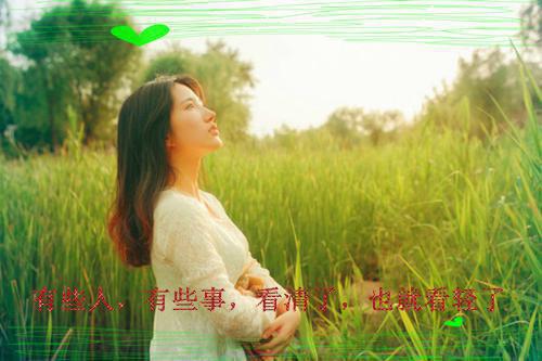 完结文离婚后求原谅？你只是替代品罢了最新章节列表_完结文离婚后求原谅？你只是替代品罢了全文免费阅读（秦双）