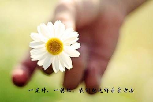 全文浏览救命！谁家乐修一指灭魔渊？（沈灵素陆渊钺）_救命！谁家乐修一指灭魔渊？（沈灵素陆渊钺）全文结局