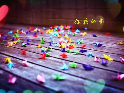 忽有故人心上过：+番外+后续（付晚虞宋暮声）最新章节_忽有故人心上过：+番外+后续全文阅读