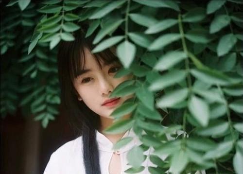 七年后重逢：全集小说（倪雾裴淮聿）全章在线无广告高口碑小说