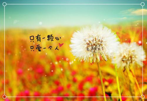 此情已断不可忆：结局+番外高口碑（裴泽沈轻澜）最新章节_此情已断不可忆：结局+番外高口碑全文阅读
