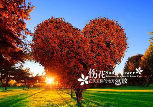 (番外)+(全文)在灰烬中吻你：章节精选免费下载阅读_(夏媛江毅珩)夏媛江毅珩最新章节列表_笔趣阁（夏媛江毅珩）