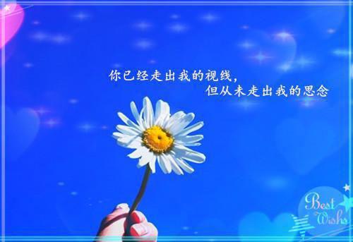 (番外)+(结局)付漾付齐陈相依（岁月缝花，终见你）全文免费阅读无弹窗大结局_(付漾付齐陈相依)最新章节列表_笔趣阁（岁月缝花，终见你）