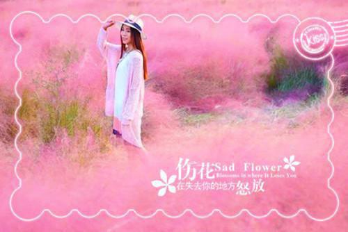 当我不再爱你：结局+番外笔趣阁全文赏析（迟菱陆崇宴）最终终章全书在线下载阅读无干扰
