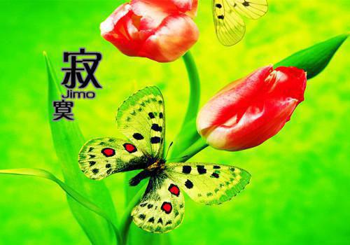 程念云松赞桑吉星达：结局+番外（程念云松赞桑吉）全章免费版阅读