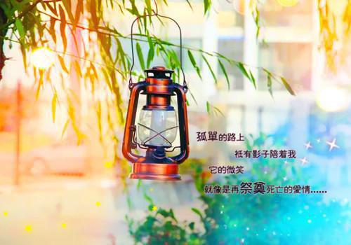 (番外)+(结局)江疏桐段知许（奈何惊鸿入我心）全文免费阅读无弹窗大结局_(江疏桐段知许)最新章节列表_笔趣阁（奈何惊鸿入我心）