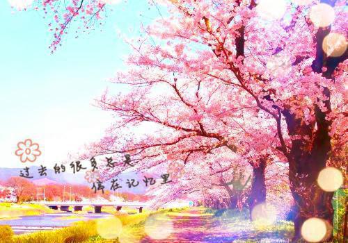 避世数年，你告诉我已经无敌了！全本免费江辰韩颜雪小说全文试读