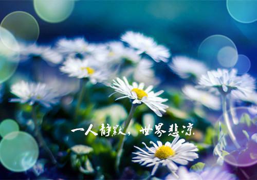 最新章节结婚七年，被我撞见三次出轨（何秋画顾思越）_结婚七年，被我撞见三次出轨何秋画顾思越最新章节
