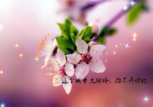 (番外)+(全文)寒来暑往将你遗忘：小说结局(姜舒意顾知凛)小说最新列表_寒来暑往将你遗忘：小说结局(姜舒意顾知凛)全文阅读无弹窗