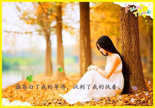 完结文撞见他偷吻白月光后：后续结局最新章节列表_完结文撞见他偷吻白月光后：后续结局全文免费阅读（温絮絮陆施恩）