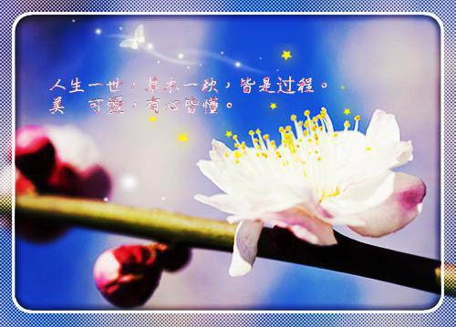 乖宝别逃，白切黑校草他超会哄：的（夏姝然驰喻）最新推荐_最新推荐乖宝别逃，白切黑校草他超会哄：的（夏姝然驰喻）