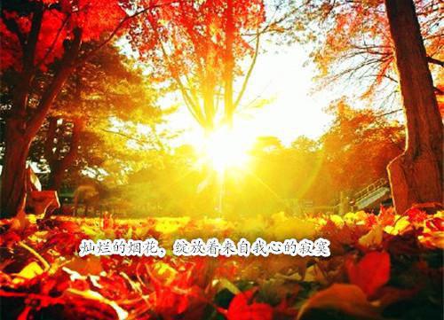 (番外)+(全文)他在永夜长眠独家出品全文免费阅读无弹窗大结局_他在永夜长眠独家出品最新章节列表_笔趣阁