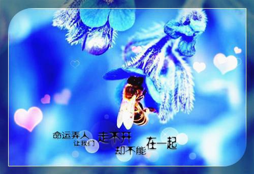 全本离职后，我回海岛探索亚特兰蒂斯内容精选（叶尘赵高）最新章节列表_全本离职后，我回海岛探索亚特兰蒂斯内容精选全文阅读