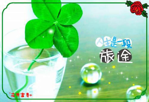 全文浏览穿成极品老太，把歪掉的儿孙全掰正（叶漫舒程远）_穿成极品老太，把歪掉的儿孙全掰正（叶漫舒程远）全文结局