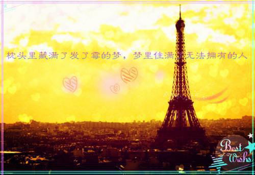 流光错系断蓬之舟沈煜：结局+番外爽文最新推荐_最新章节阅读流光错系断蓬之舟沈煜：结局+番外爽文