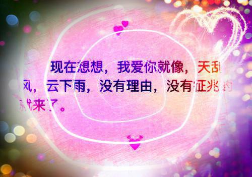 （洛婉雪谢诚景）月光洒下离人巷：免费阅读全文全文+后续