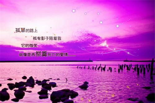 （沈念念楚北珩）我在古代成神了全文+后续
