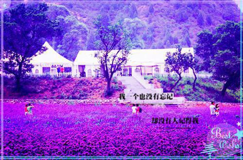 甜栀z的新书（江栀江栀）最新推荐_最新推荐甜栀z的新书（江栀江栀）