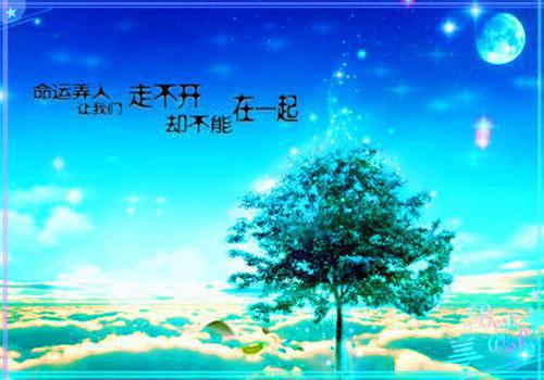 缝补错位人生：宝藏全文小说傅云琛乔洛颜小说在线阅读